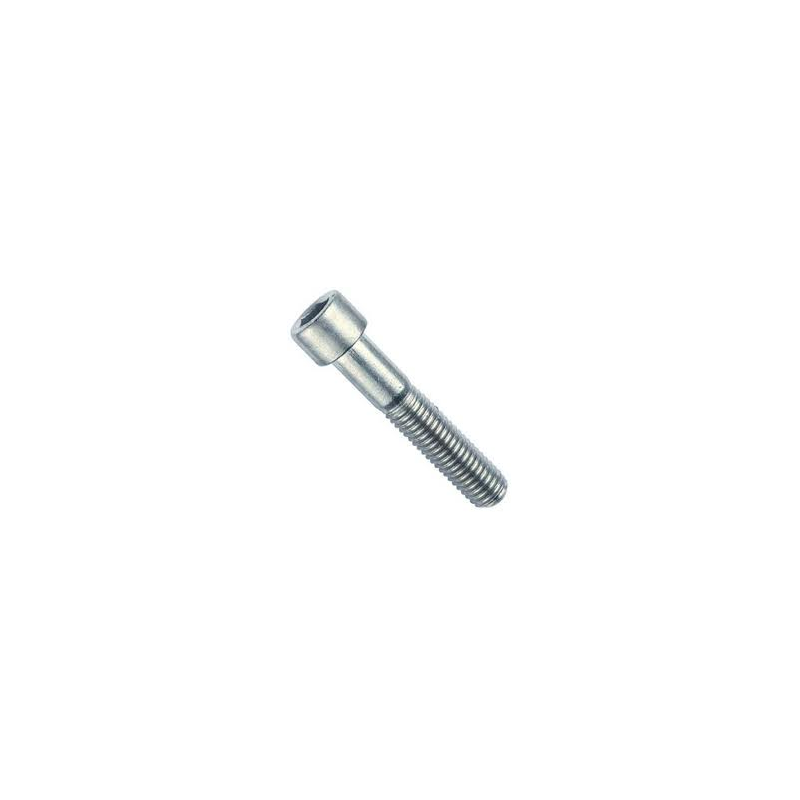 Inbusbout M5x45