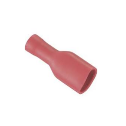 Kabelschoen plat, vrouwtje...