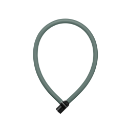 Axa Resolute 6-60 kabelslot