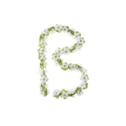 Basil Roses Garland...