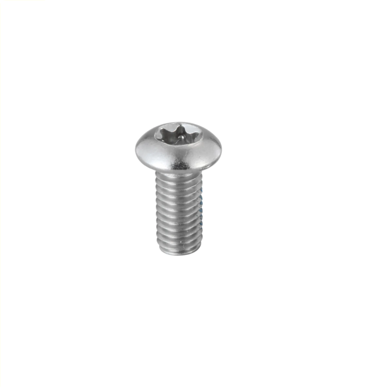 Elvedes Torx RVS Remschijf boutje
