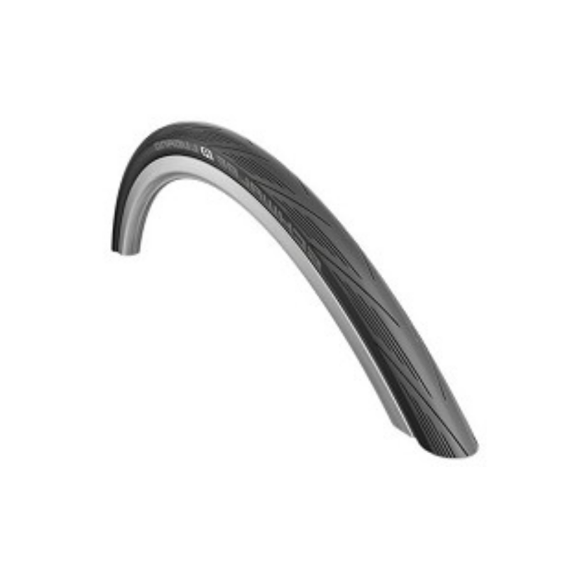 Schwalbe Lugano 2