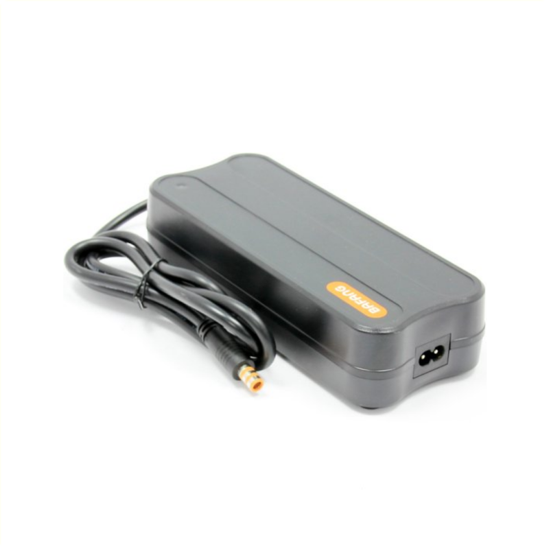 Acculader 2A SSLC100V49