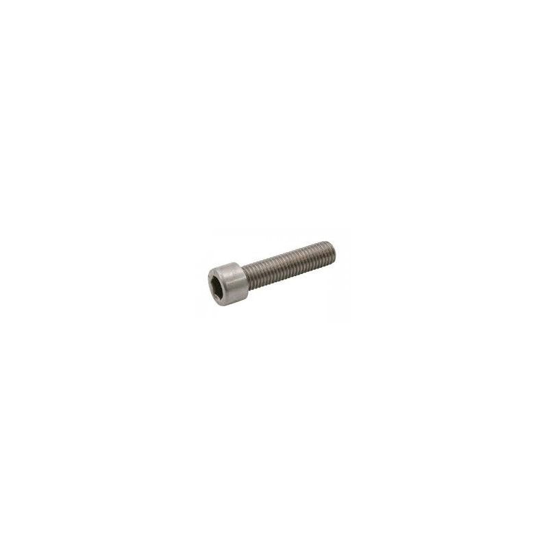 Inbusbout M6x12 RVS per 25
